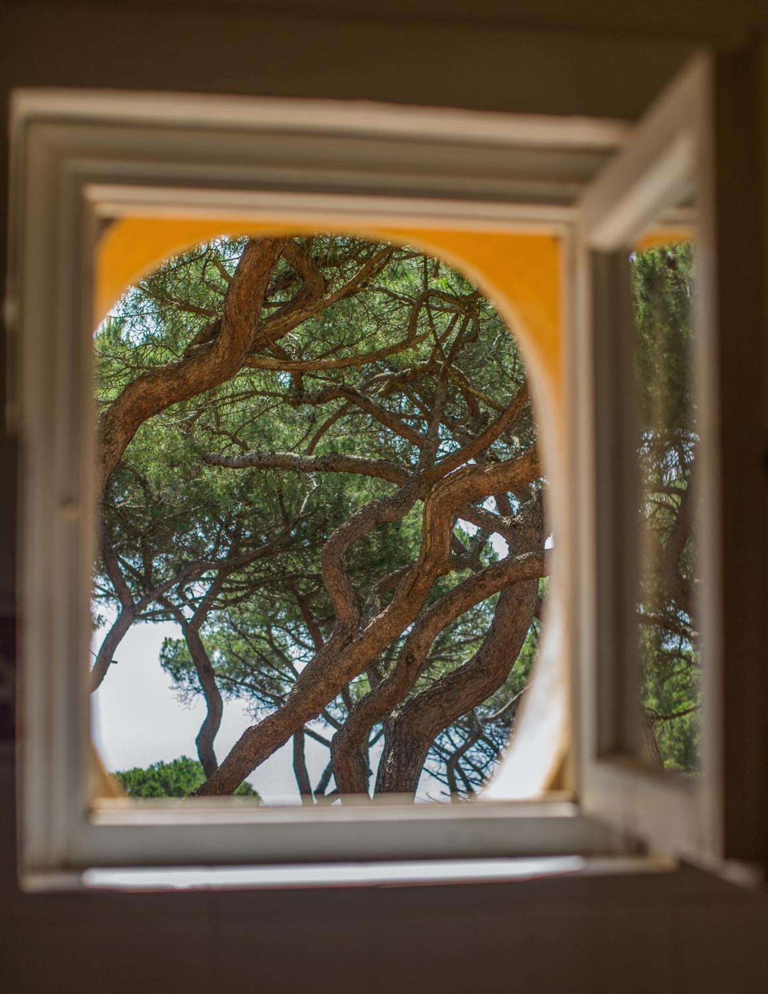 Tenuta Delle Ripalte Capoliveri  Ngoại thất bức ảnh